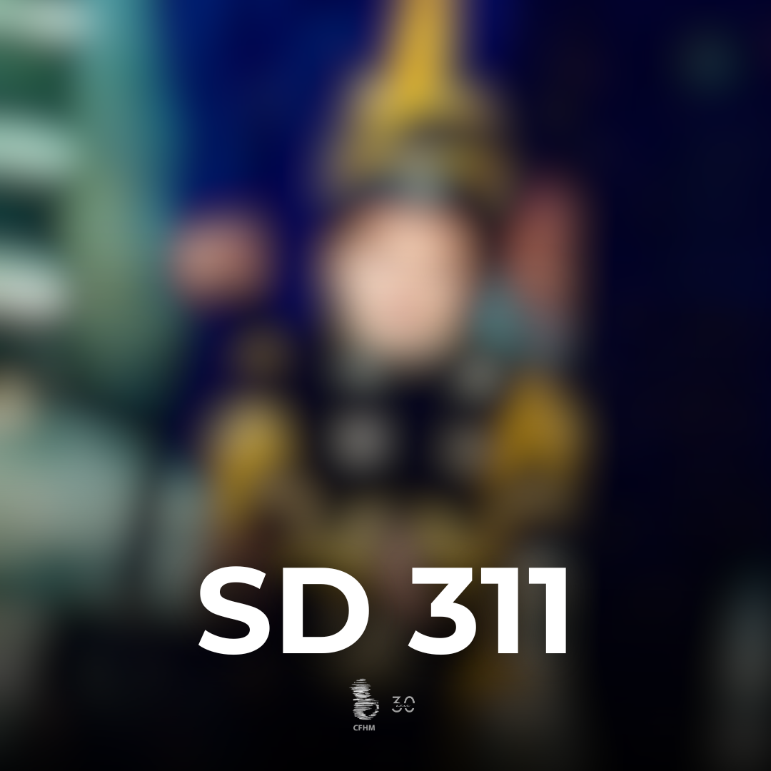 SD311