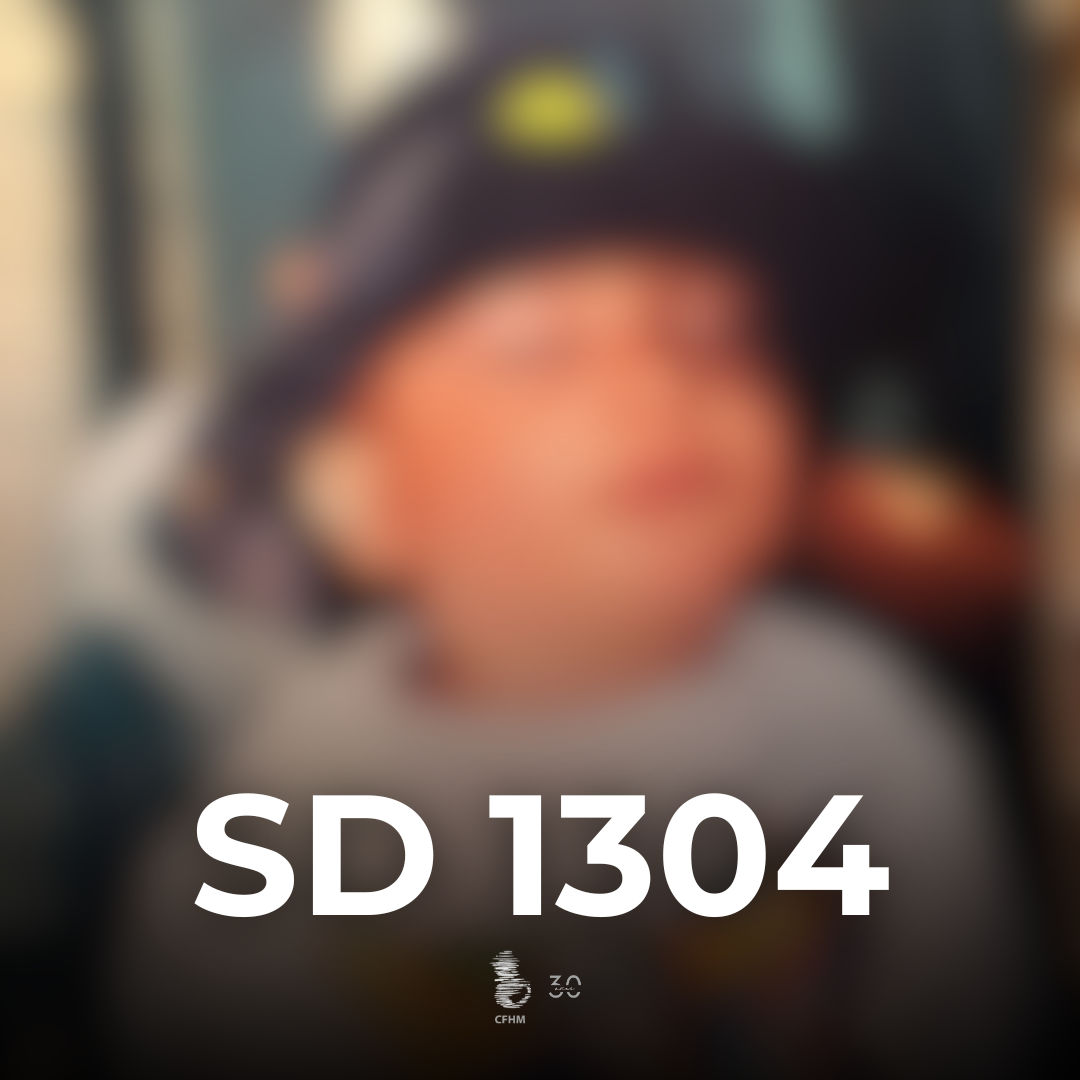 SD1304
